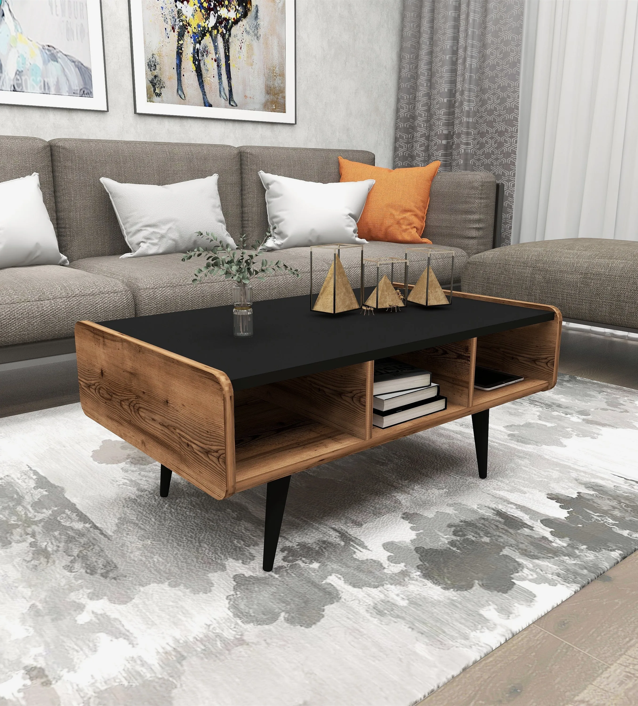 Coffee Table with Storage Unit Farelle
