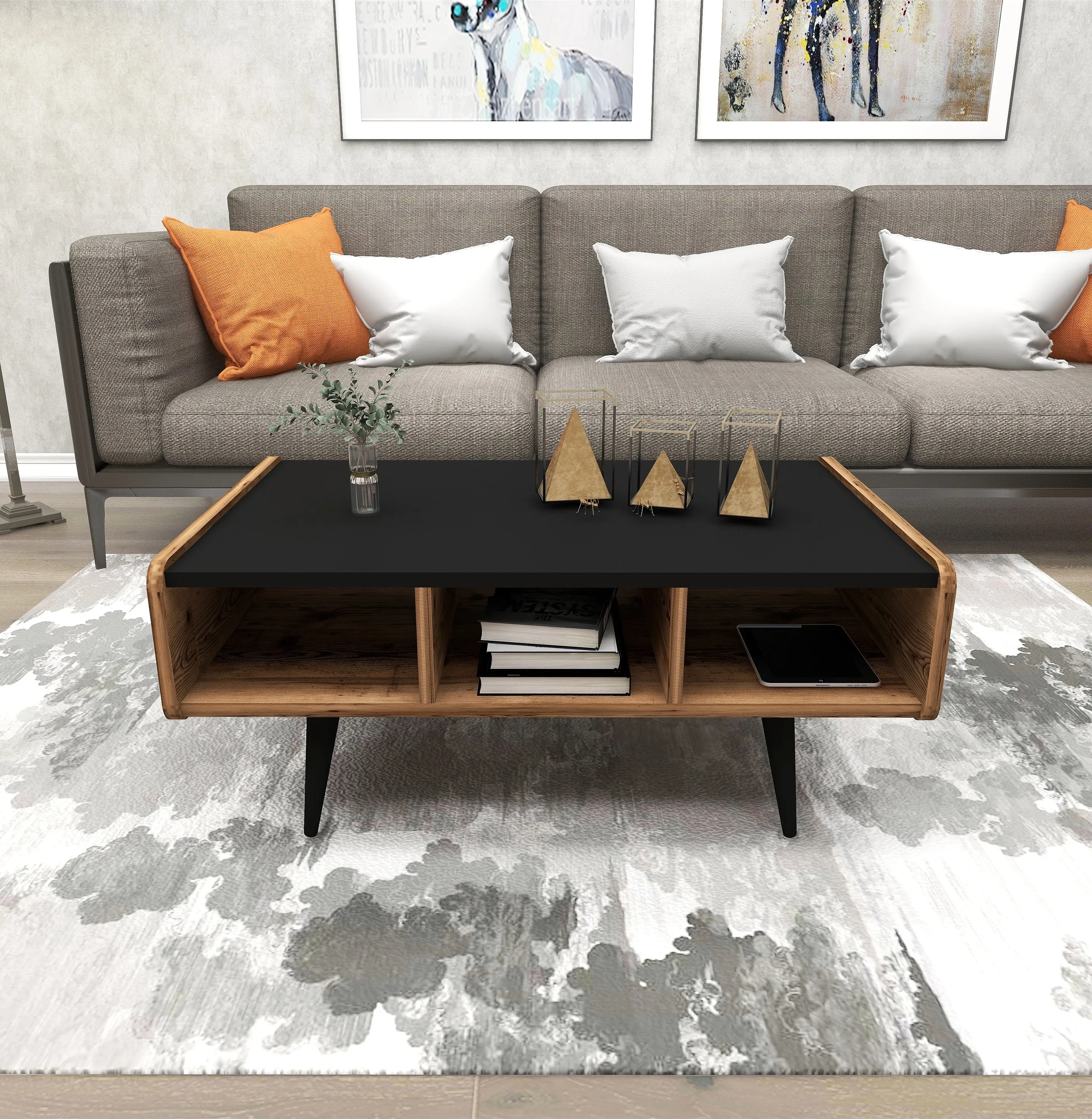 Coffee Table with Storage Unit Farelle