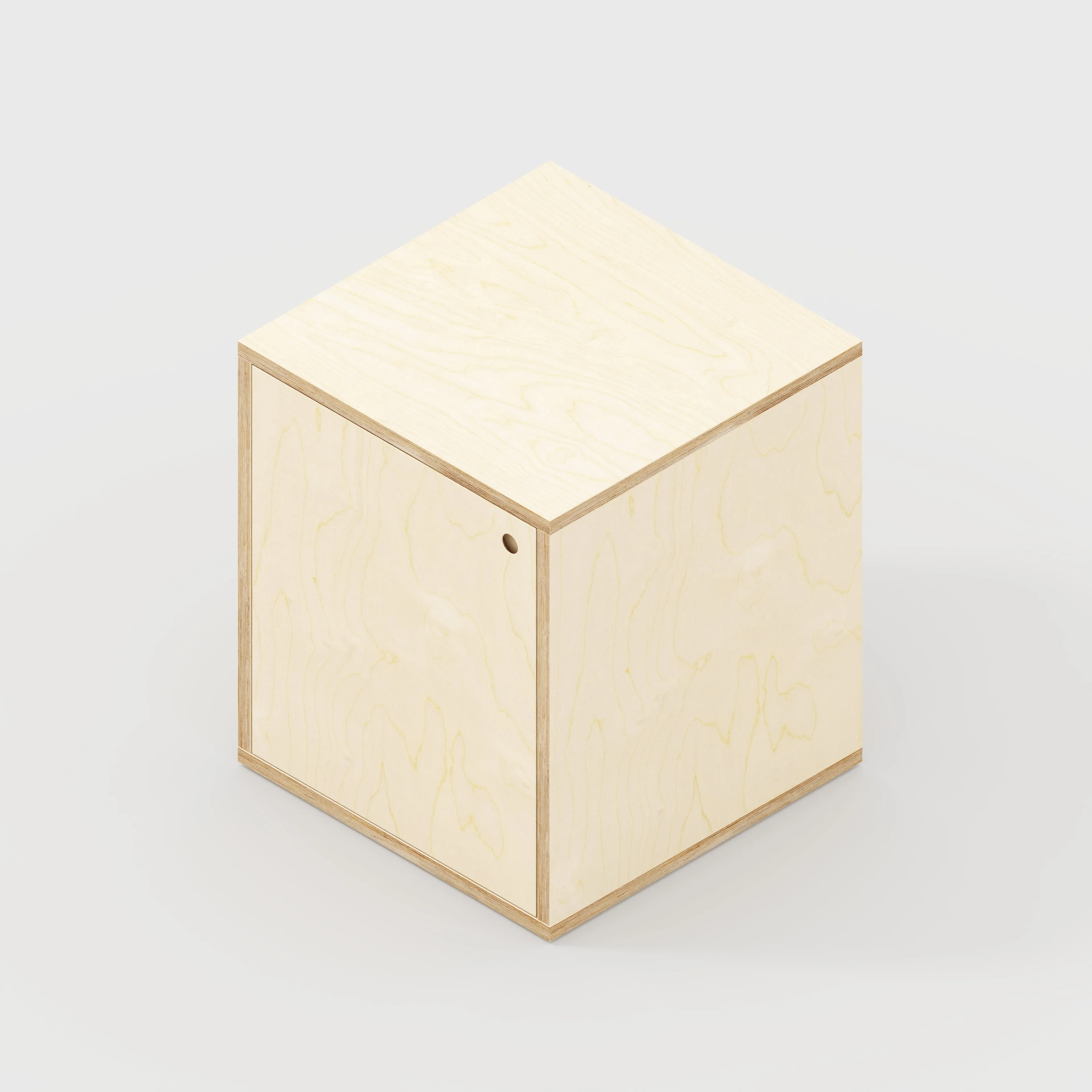 Custom Plywood Storage with Doors