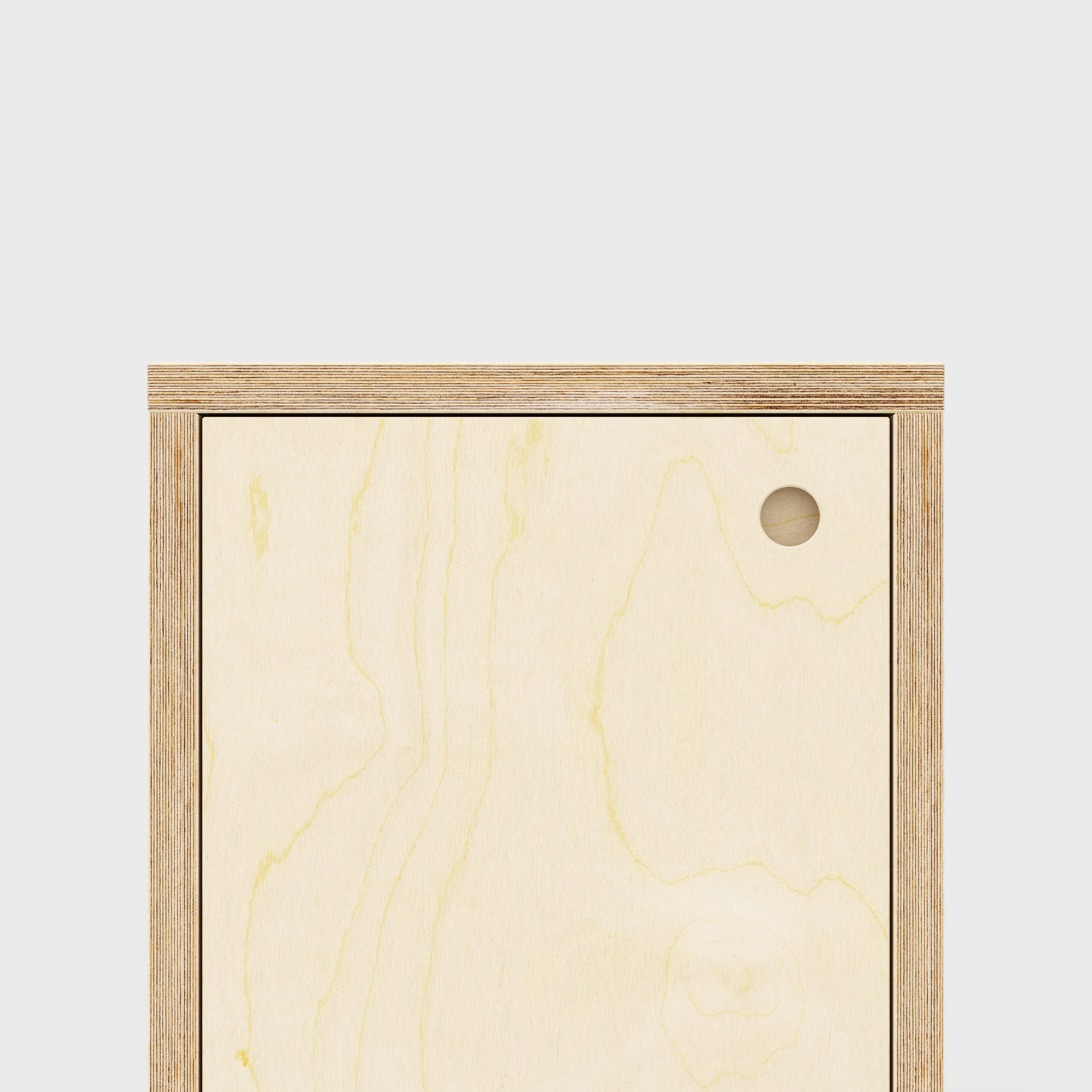 Custom Plywood Storage with Doors