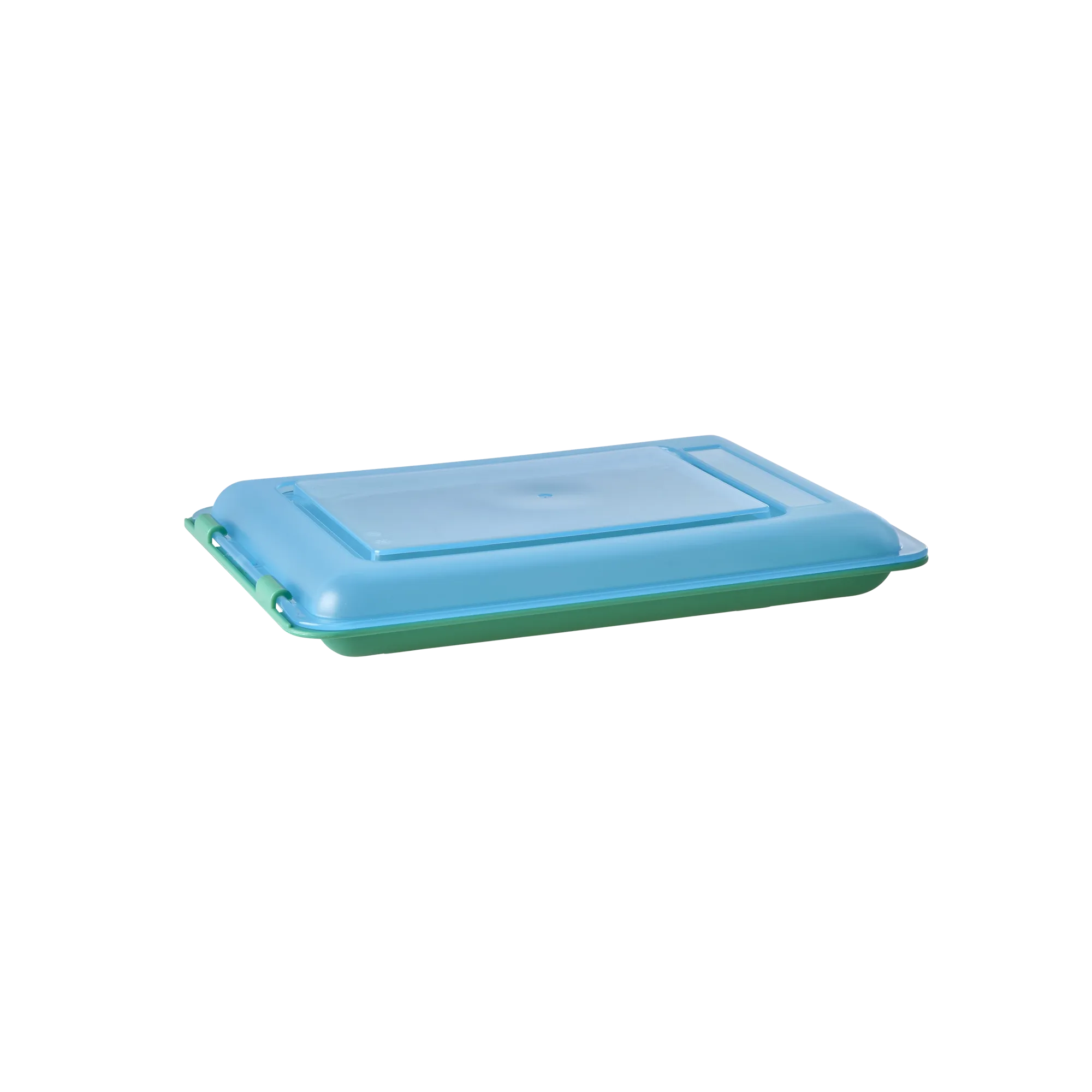 Plastic Food Boxes - Blue